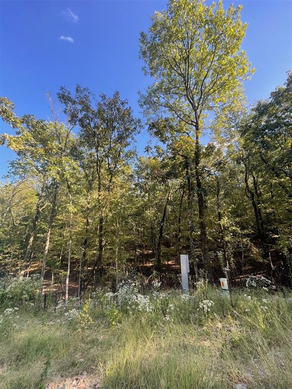 Land in Broken Bow 5