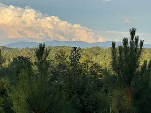 LT 115 Ridge Dr, Ellijay, GA, 30540-7268 | Card Image