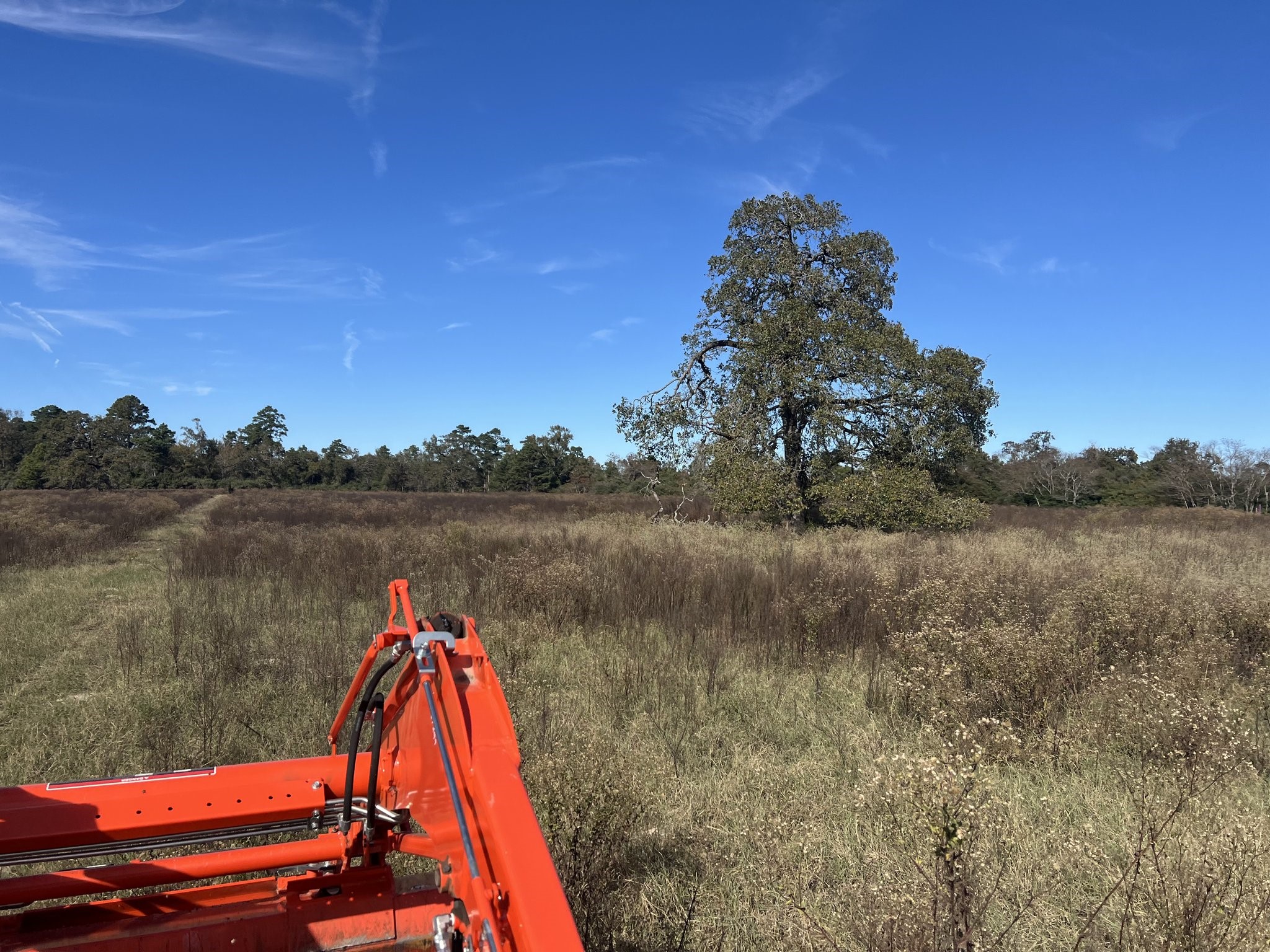 Land in Centerville 2