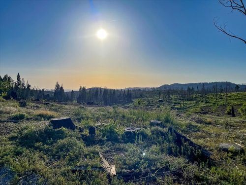 2157 Backwoods Trl, Grizzly Flats, CA, 95636 | Card Image