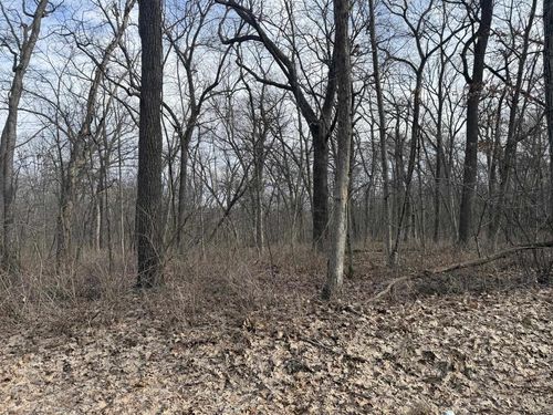 2+/- Acres Biggs Road, Adams, WI, 53504 | Card Image