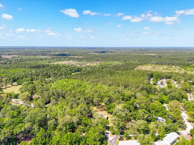 0 Carter Rd, Home with 0 bedrooms, 0 bathrooms and null parking in Saint Augustine FL | Image 13