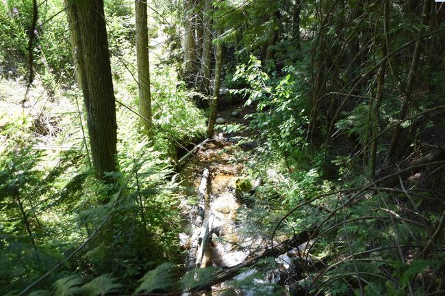 1555 Comstock Mine Rd, Home with 0 bedrooms, 0 bathrooms and null parking in Colville WA | Image 4