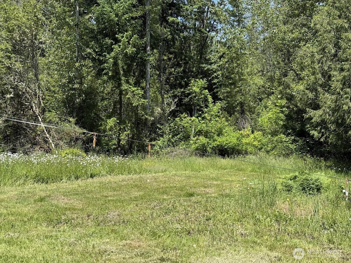 Land in Spanaway 4