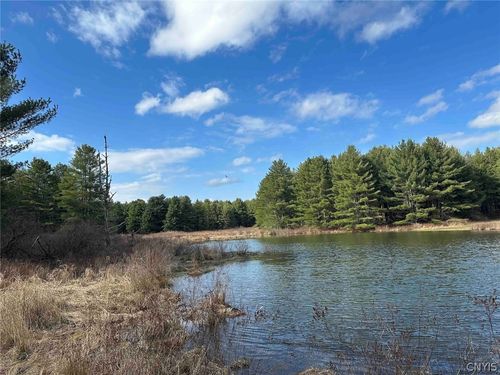 219 Martin Hill Rd, Harpursville, NY, 13787-1630 | Card Image