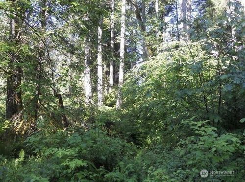 10608 Edgewood Dr, Anderson Island, WA, 98303 | Card Image