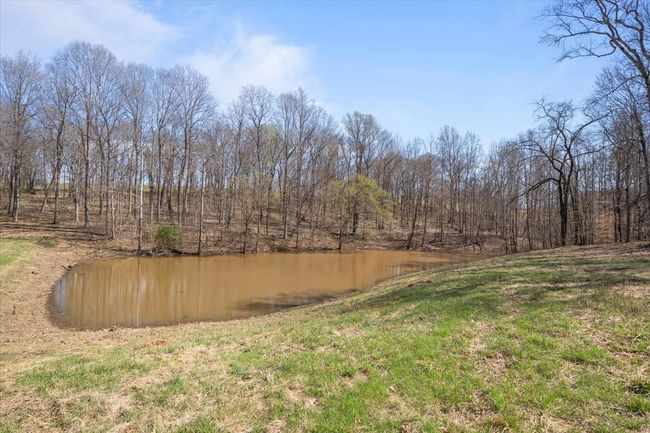 650 Wall Rd, House other with 3 bedrooms, 2 bathrooms and 2 parking in Cunningham TN | Image 27