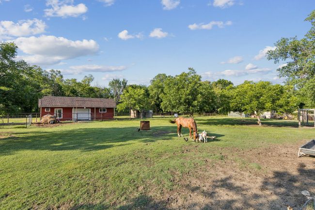 View of yard | Image 28