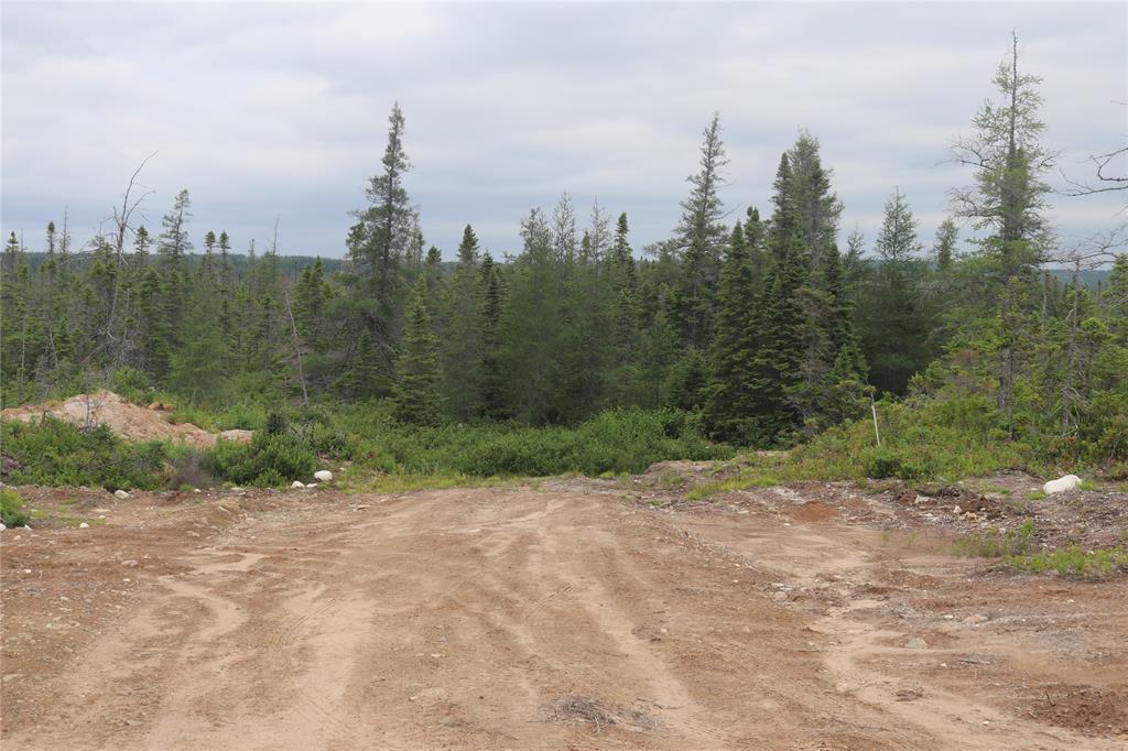 Land in Howley 2