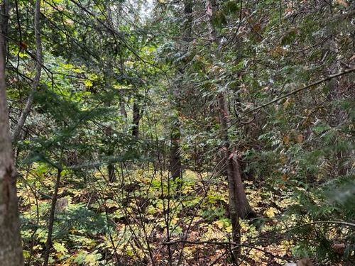 6 Shore Rd, Southampton, ON, N0H | Card Image