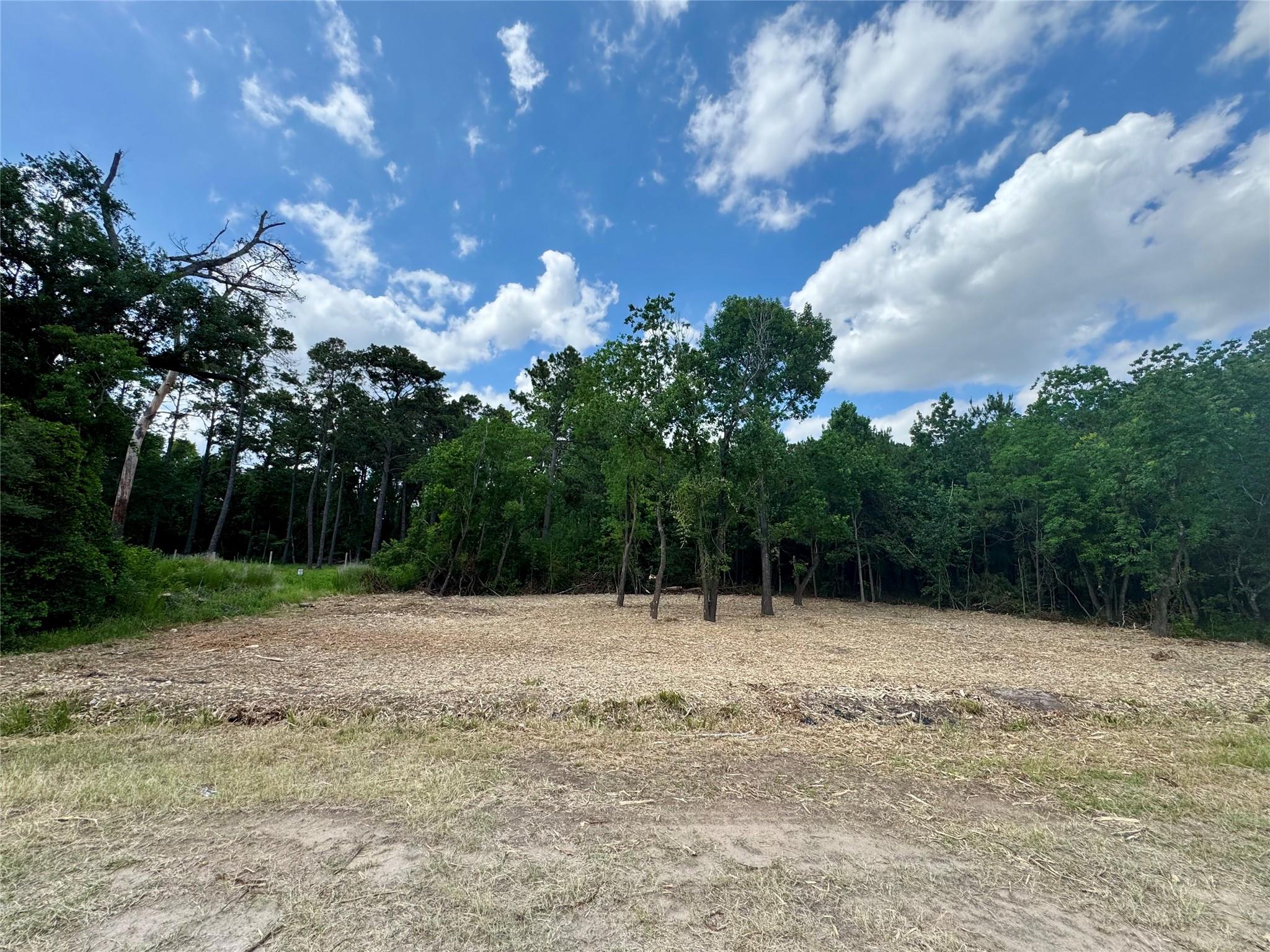 Land in Houston