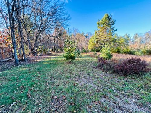 TBD Overlook Lane, Galax, VA, 24333 | Card Image