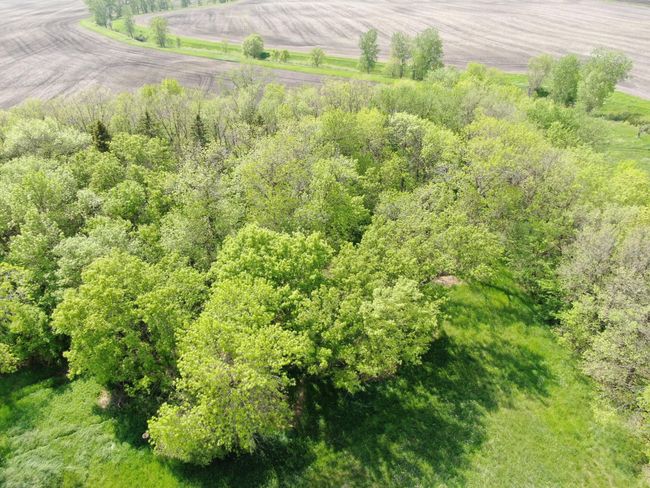 DJI_0287.JPG | Image 24
