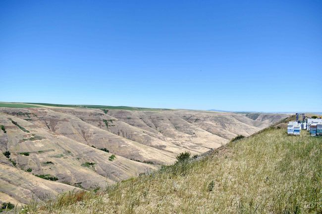 0 Spur Rd, Home with 0 bedrooms, 0 bathrooms and null parking in Genesee ID | Image 15