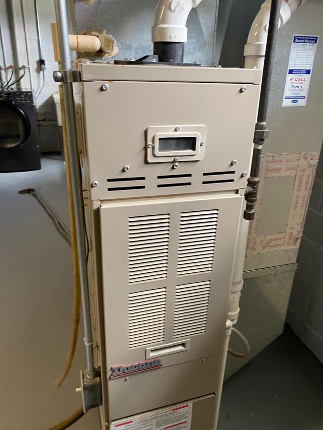 IMG_8995.JPG | Image 32