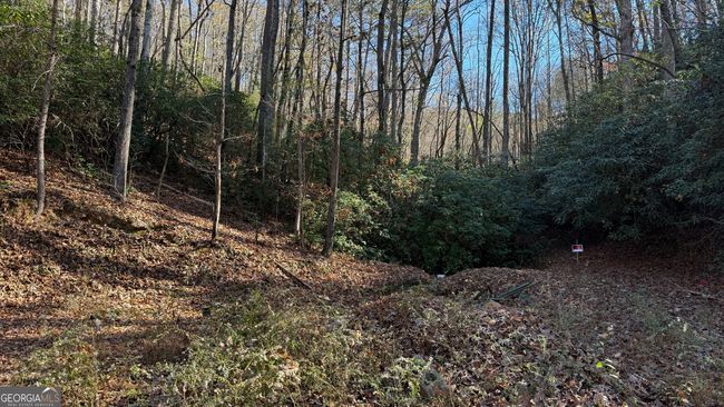 0 Goshen Mesa Ln, Home with 0 bedrooms, 0 bathrooms and null parking in CLARKESVILLE GA | Image 16