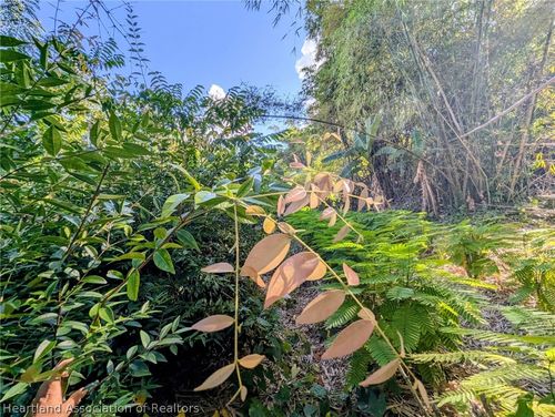 1104 Hopkins Ln, Zolfo Springs, FL, 33890-3825 | Card Image