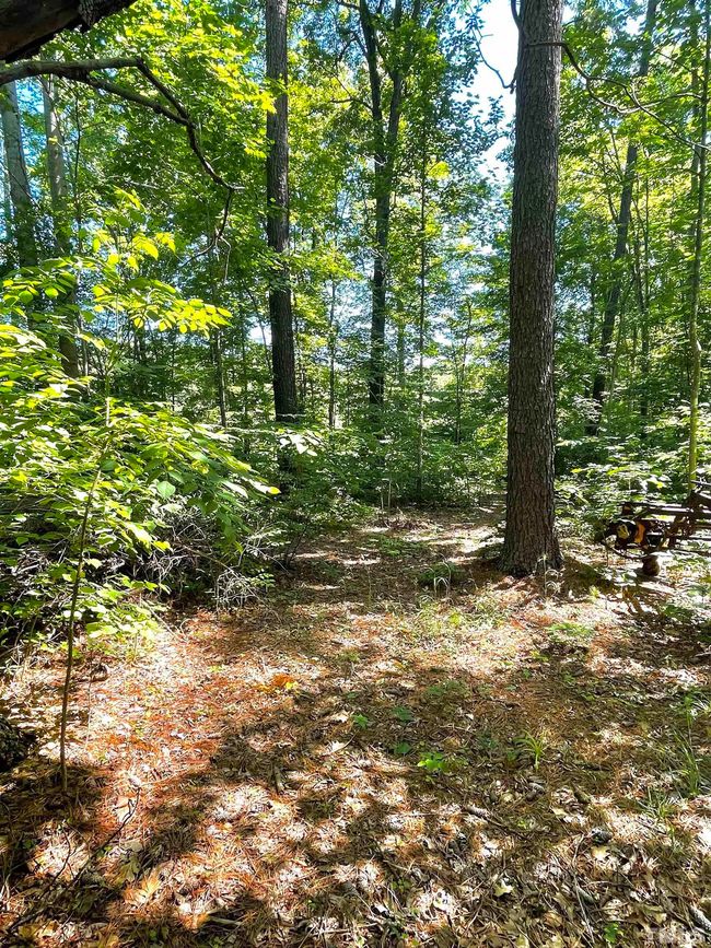 12 Hawkins Loop, Home with 0 bedrooms, 0 bathrooms and null parking in Hurdle Mills NC | Image 8