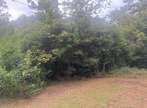 TBD Jill Ln, Livingston, TX, 77351 | Card Image