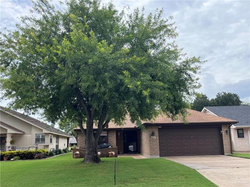 847 Palm Drive, Alamo, TX, 78516 | Card Image
