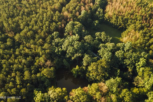 JG Puckett Cabin Drone-7 | Image 9