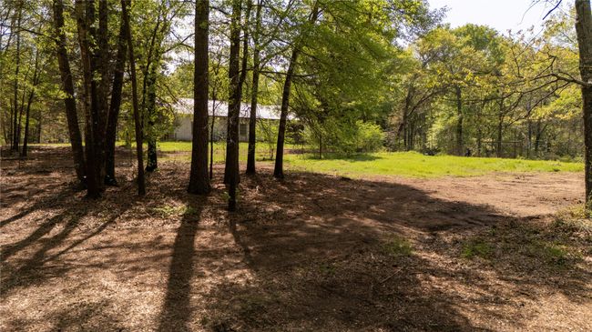11814 Fm 3226, Home with 0 bedrooms, 0 bathrooms and null parking in Arp TX | Image 7