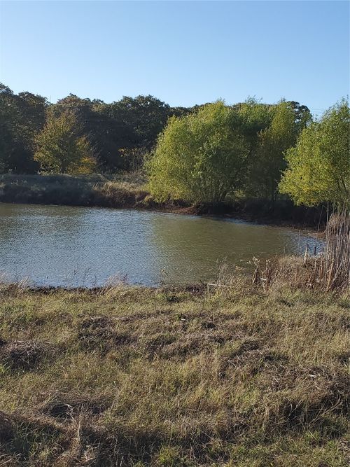 TBD County Road 2610, Ivanhoe, TX, 75447 | Card Image