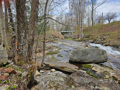 Looking toward bridge on Mary Turner Rd | Image 3