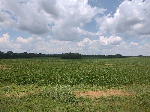 1 Benton Rd, Cedar Hill, TN, 37032 | Card Image