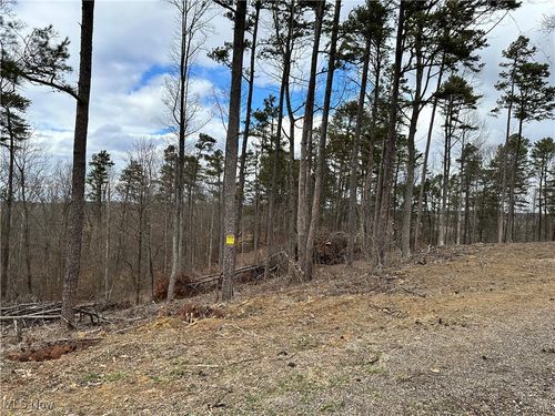 0 Fisher Ridge Rd, Tract 1, Fleming, OH, 45729 | Card Image