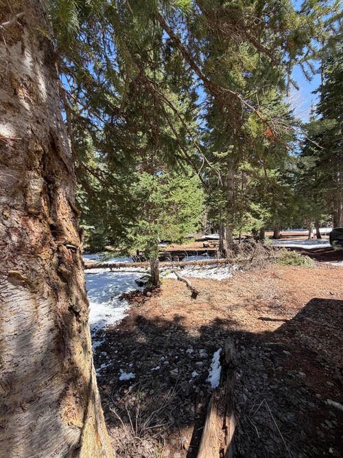 75 S Buckhorn Trl, Duck Creek Village, UT, 84762 | Card Image