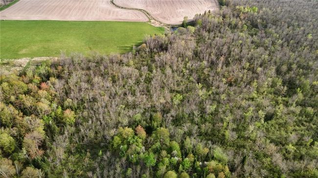 0000 Trucker Ln, Home with 0 bedrooms, 0 bathrooms and null parking in Gilman WI | Image 8