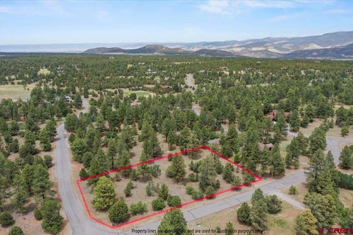 TBD Lot 308 Bear Cub Drive, Ridgway, CO, 81432 | Card Image