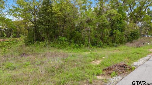 113 Private Dr, Mineola, TX, 75773 | Card Image