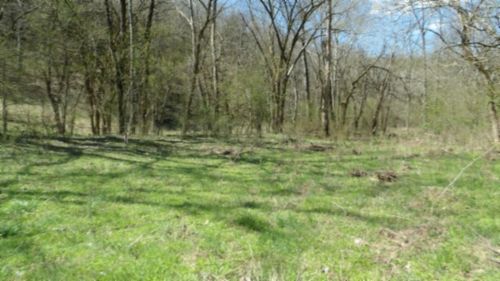 78 Ac Baugh Hollow Rd, Gainesboro, TN, 38562 | Card Image