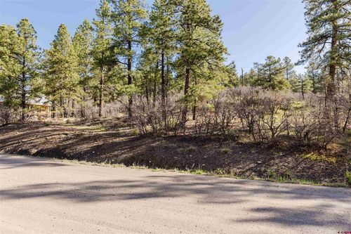 106 Granada Dr, Pagosa Springs, CO, 81147-8581 | Card Image