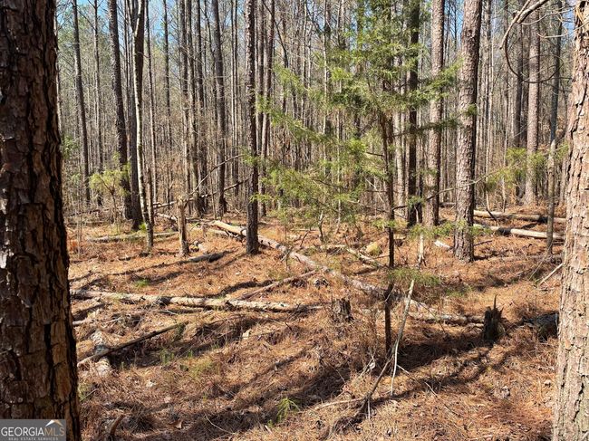 2 - 0 Joe Cook Rd, Home with 0 bedrooms, 0 bathrooms and null parking in Franklin GA | Image 5