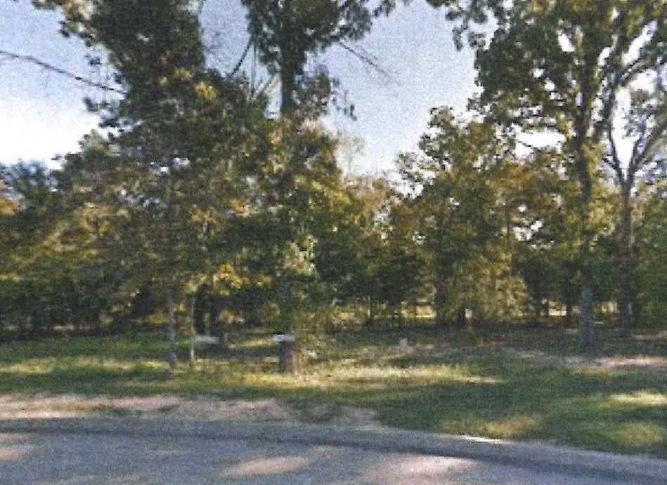 Land in Tyler 2
