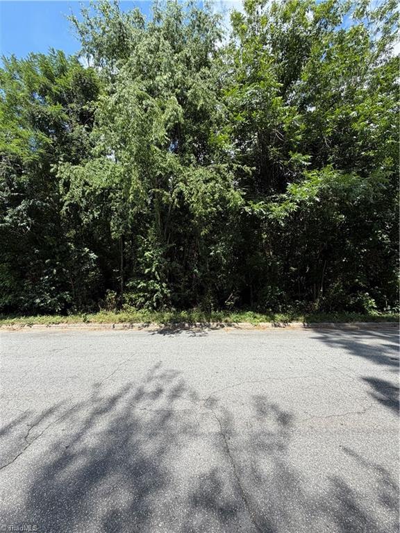 Land in Greensboro 5