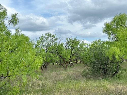 TBD County Road 100, Abilene, TX, 79601 | Card Image