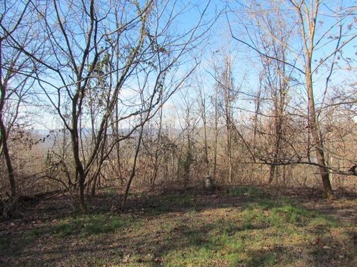 860 Ditch Gap Rd, Whitwell, TN, 37397-5778 | Card Image