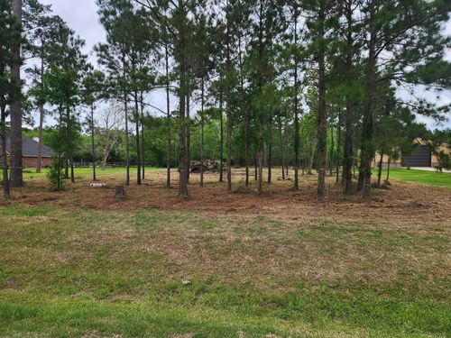 7203 Bayou Timbers Dr, Alvin, TX, 77511-0006 | Card Image