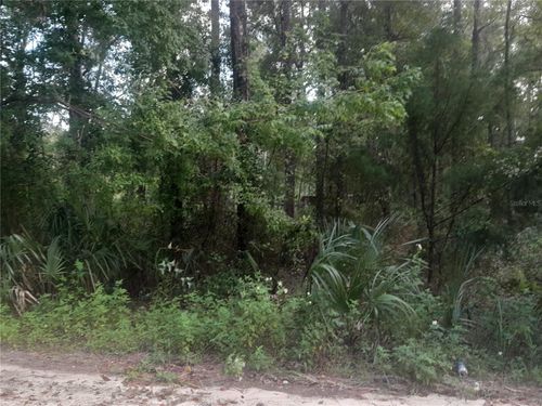 TBD Ne 52nd Pl, WILLISTON, FL, 32696 | Card Image