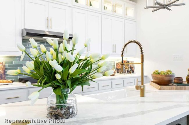Kitchen (Representative Photo) | Image 8