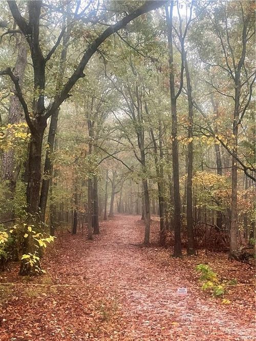 172 St Simons Ln, Eureka Springs, AR, 72631 | Card Image
