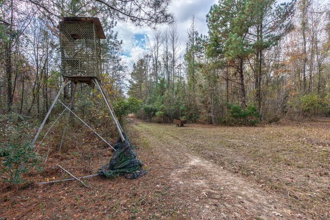 20-web-or-mls-20 | Image 12