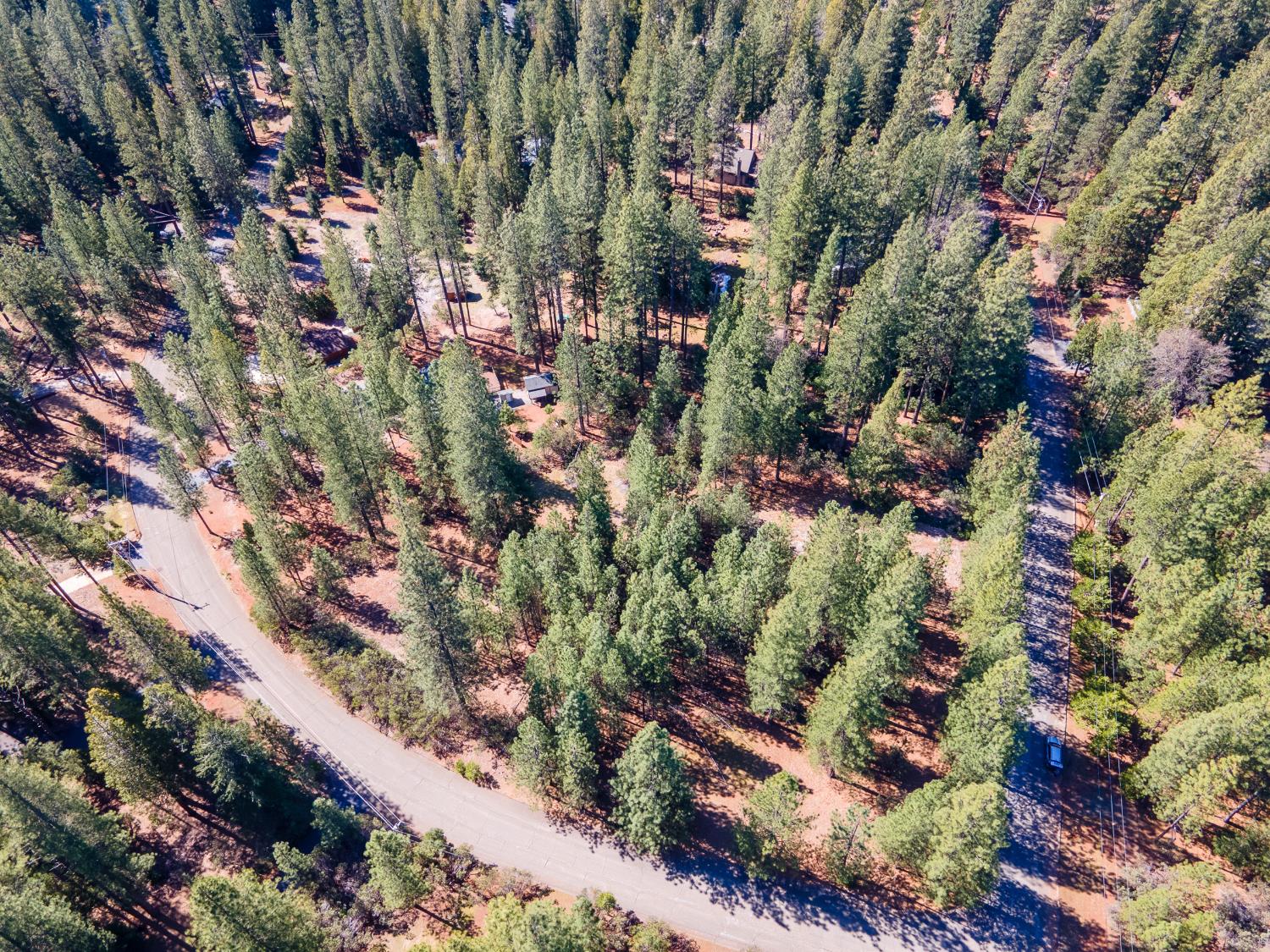 Land in Grizzly Flats 5