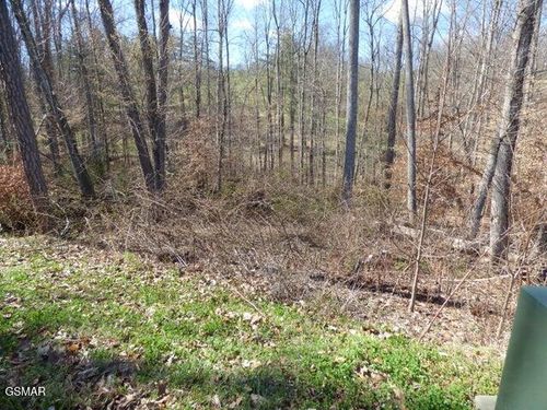Lot 23 Bridgewater Pointe Boulevard, Morristown, TN, 37814 | Card Image