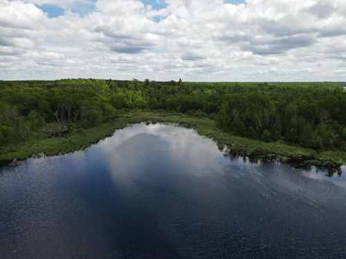TBD County Road 156, Squaw Lake, MN, 56681 | Card Image