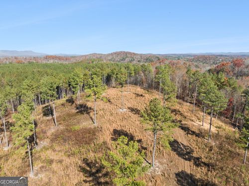 0 Sand Pit Road, Summerville, GA, 30747 | Card Image